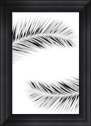Framed Palm V Print