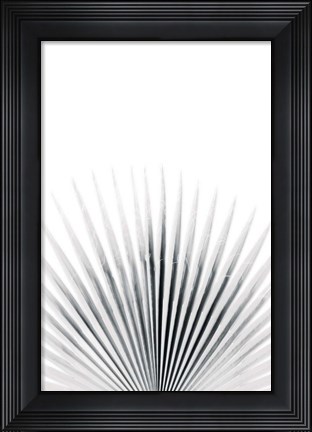 Framed Palm VI Print