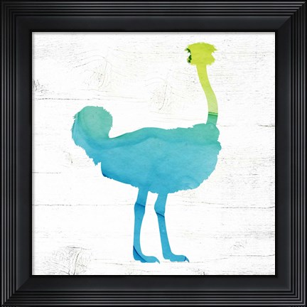 Framed Ostrich Print