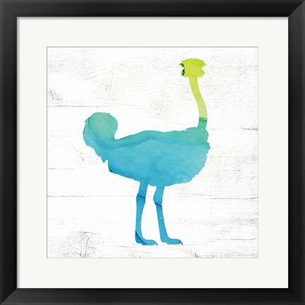 Framed Ostrich Print