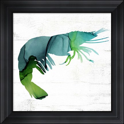 Framed Shrimp Print