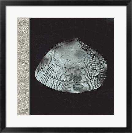 Framed Seashell Print
