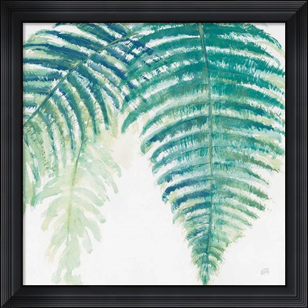 Framed Ferns III Square Cool Print