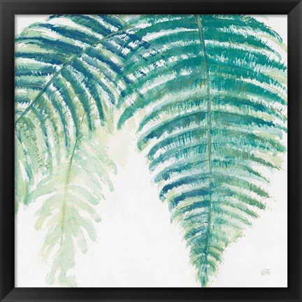 Framed Ferns III Square Cool Print