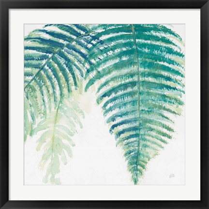 Framed Ferns III Square Cool Print