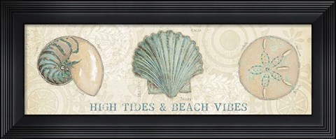 Framed Beach Treasures VIII Print