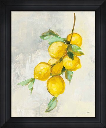 Framed Zest II Print