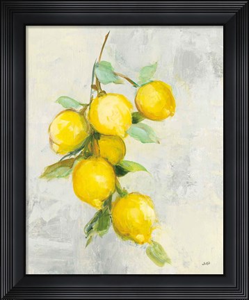 Framed Zest I Print