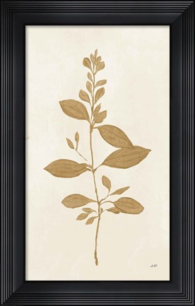 Framed Botanical Study VIII Gold Print