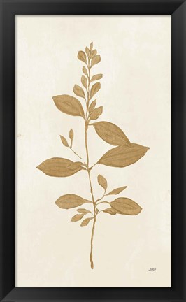 Framed Botanical Study VIII Gold Print