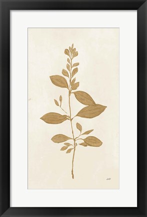 Framed Botanical Study VIII Gold Print