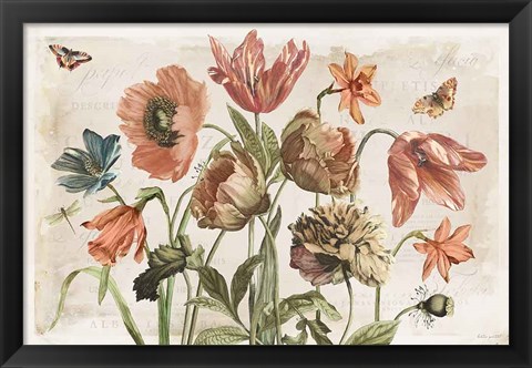 Framed Antiquarian Blooms II Print