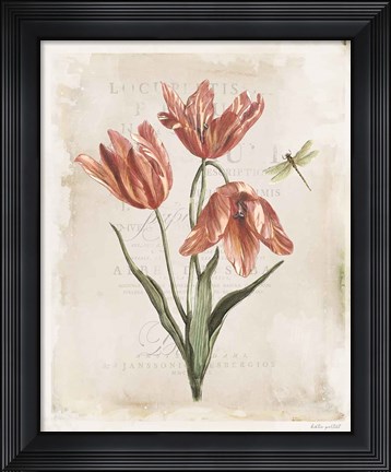 Framed Antiquarian Blooms III Print