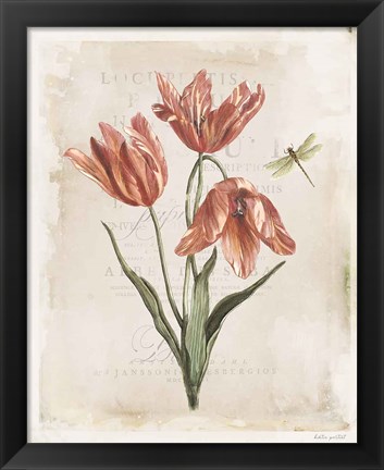 Framed Antiquarian Blooms III Print