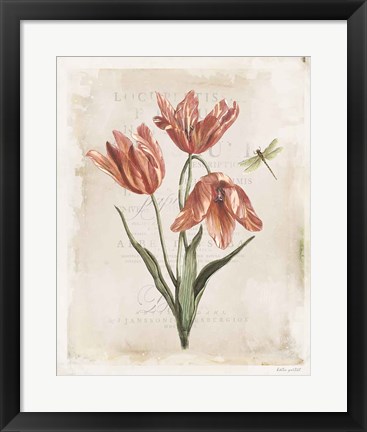 Framed Antiquarian Blooms III Print