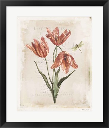 Framed Antiquarian Blooms III Print