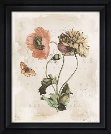 Framed Antiquarian Blooms IV Print