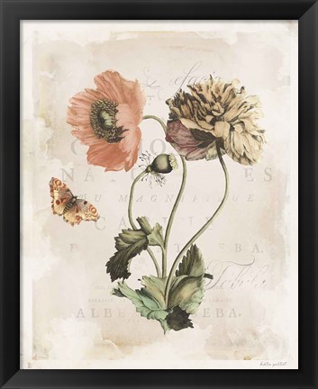 Framed Antiquarian Blooms IV Print