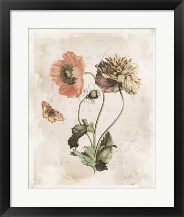 Framed Antiquarian Blooms IV Print