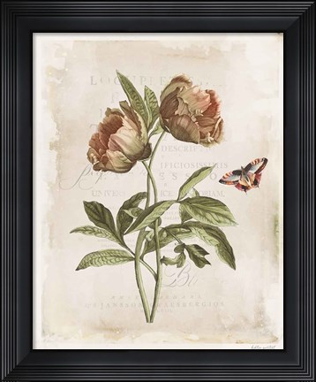 Framed Antiquarian Blooms VI Print