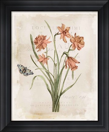Framed Antiquarian Blooms V Print