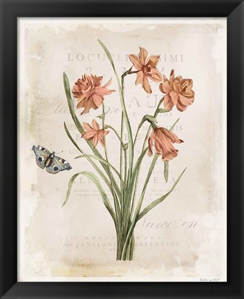 Framed Antiquarian Blooms V Print