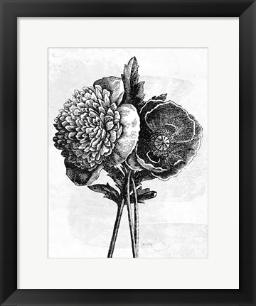 Framed Spa Botanical III BW Crop Print