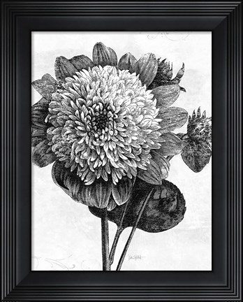 Framed Spa Botanical II BW Crop Print