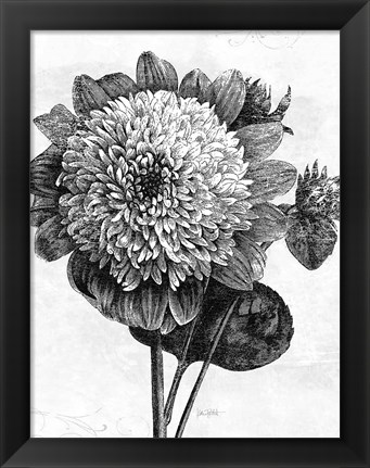 Framed Spa Botanical II BW Crop Print