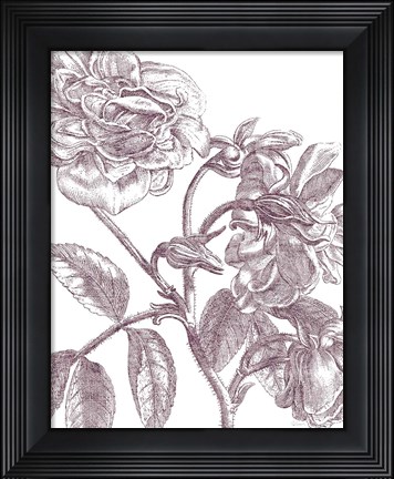 Framed Belle Fleur I Plum Crop Print