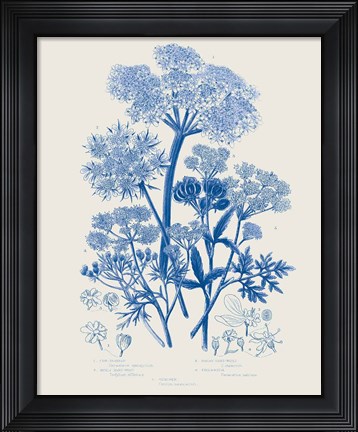 Framed Flowering Plants VI Mid Blue Print