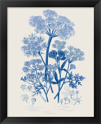 Framed Flowering Plants VI Mid Blue Print