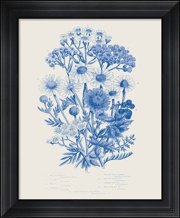 Framed Flowering Plants V Mid Blue Print