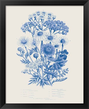 Framed Flowering Plants V Mid Blue Print