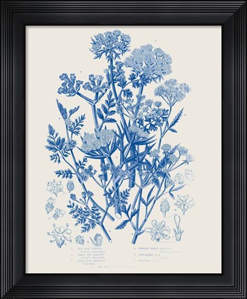 Framed Flowering Plants IV Mid Blue Print