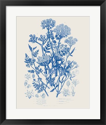 Framed Flowering Plants IV Mid Blue Print