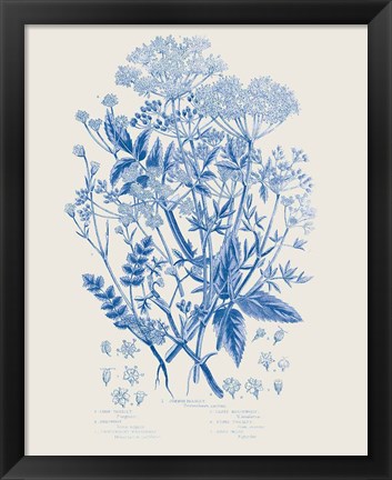 Framed Flowering Plants I Mid Blue Print