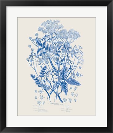 Framed Flowering Plants I Mid Blue Print