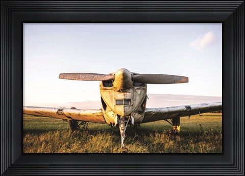 Framed Last Flight I  Hold Print