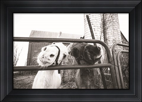 Framed Hey Donkeys I Print