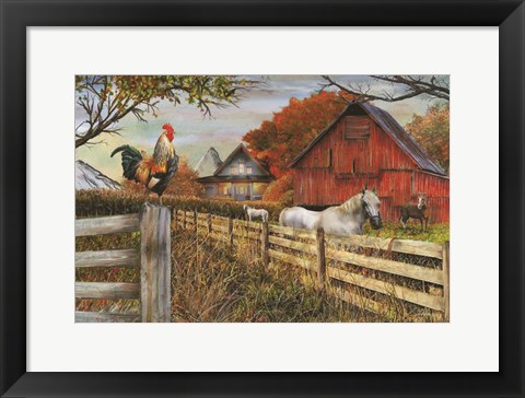 Framed Standing Guard Rooster Print