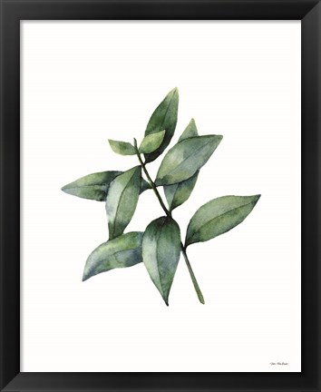 Framed Eucalyptus IV Print