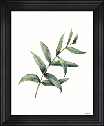 Framed Eucalyptus V Print