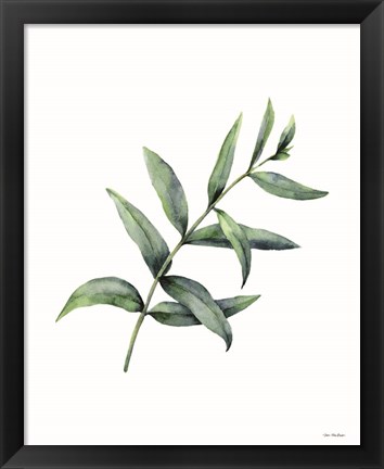 Framed Eucalyptus V Print