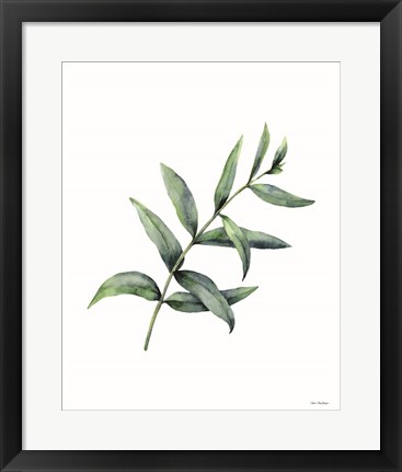 Framed Eucalyptus V Print