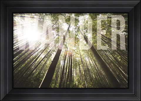Framed Wander Print