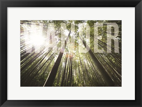 Framed Wander Print