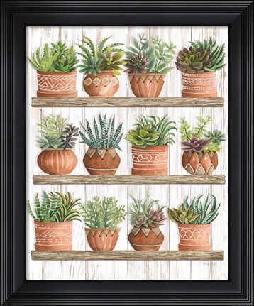 Framed Succulents on Shelves Print