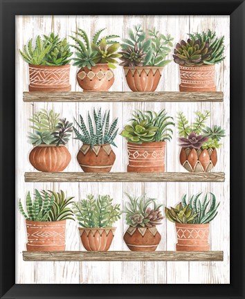 Framed Succulents on Shelves Print