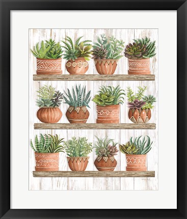 Framed Succulents on Shelves Print